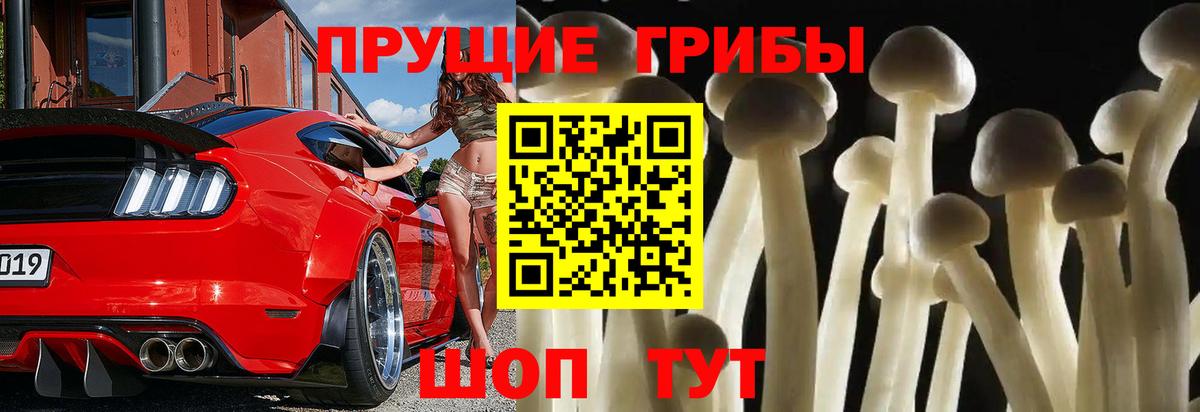 Псилоцибиновые грибы GOLDEN TEACHER Кандалакша
