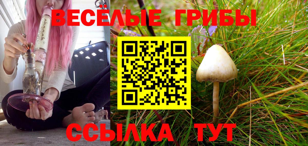 Кандалакша  Галлюциногенные грибы прущие грибы  Псилоцибиновые грибы ЛСД  Вход с VPN 
